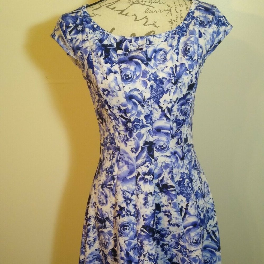Blue Fit n Flare Dress Robbie Bee